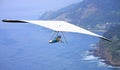 Hang glider flying over the ocean