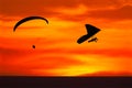 Hang glider, para sail at sunset California