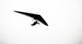 hang glider silhouette against a bright white sky Royalty Free Stock Photo