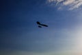 Hang-glider silhouette in sky Royalty Free Stock Photo