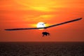 Hang Glider at Sunset Royalty Free Stock Photo