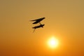 Hang glider wing silhouette