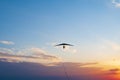 Hang glider wing on the sunset Royalty Free Stock Photo