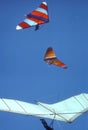 Hang Gliders Circle in a Thermal Over Buffalo Mountain, Oklahoma Royalty Free Stock Photo