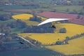 Hang Gliders flying