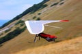 Hang gliding in Julian Alps Royalty Free Stock Photo