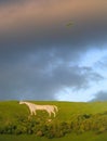 Hang Gliding off Westbury White Horse Royalty Free Stock Photo