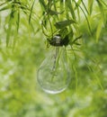 Hang keep Light bulb glowing idea or energy Royalty Free Stock Photo
