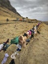 Hanged bra and underwears on a fence in Iceland