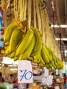 Hanged green banana in the market