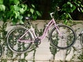 Hanged bike. Pink.