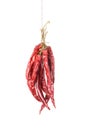 Hanged Sear Chili Peppers Royalty Free Stock Photo