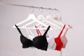Hangers with beautiful lace bras on rack against grey. Stylish underwear