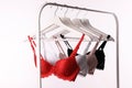 Hangers with beautiful lace bras on rack against white. Stylish underwear