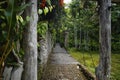 Hangging bridge at the forest camp Royalty Free Stock Photo