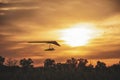 Hangglider silhouette at the sunset