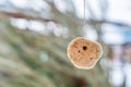 Hanging adder stone Royalty Free Stock Photo