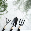 Hanging air root plant, dave and tillandsia on white background decorated with trowel and hand fork