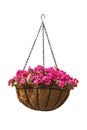 Hanging basket of beautiful flowers Royalty Free Stock Photo