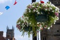 Hanging basket of flowers attached to a lamp post in East Grinstead Royalty Free Stock Photo