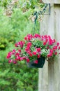 Hanging basket