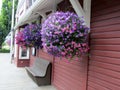 Hanging basket planter with self watering irrigation systems outside of Agassiz-Harrison Historical train station. Royalty Free Stock Photo