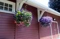 Hanging basket planters with self watering irrigation systems.