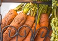 Hanging basket with some carrots that stand as a symbol for pure food waste