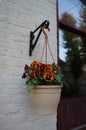 Hanging basket with viola tricolor flowers in the street Royalty Free Stock Photo