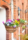 Hanging baskets Royalty Free Stock Photo