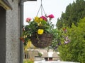 Hanging baskets of flowers on a cottage Ireland Royalty Free Stock Photo