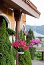 Hanging Baskets Of Flowers At The Front Porch.