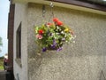 Hanging baskets of flowers Royalty Free Stock Photo