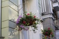Hanging Baskets Of Flowers On The Wall