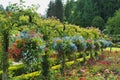 Hanging Baskets at the Gardens Royalty Free Stock Photo