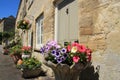 Hanging baskets in the village Cirencester in England. Royalty Free Stock Photo