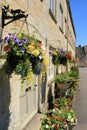 Hanging baskets in the village Cirencester in England. Royalty Free Stock Photo