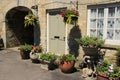 Hanging baskets in the village Cirencester in England. Royalty Free Stock Photo