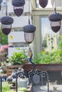 Hanging bird feeders in shape of acorn full of different grain in the city