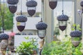 Hanging bird feeders in shape of acorn full of different grain in the city