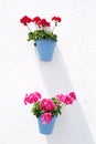 Hanging Blue Flower Pots Royalty Free Stock Photo