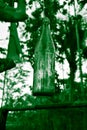 A hanging bottle in a tree with green colour