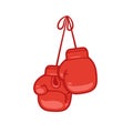 Hanging boxing gloves