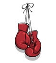 Hanging boxing gloves vector Royalty Free Stock Photo