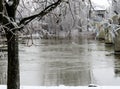 Hanging branches covered of ice in winter with the river in the background Royalty Free Stock Photo