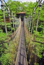 Hanging Bridge