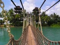 Hanging bridge