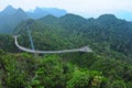 Hanging bridge above the rain forest