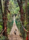 Hanging bridge