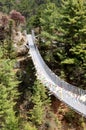 Hanging bridge over the river Dudh Kosi in eastern Nepal,Everest region